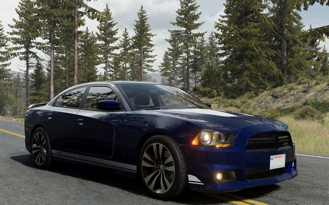 '14 Dodge Charger 🇺🇸
